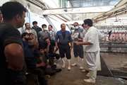 برگزاری جلسه آموزشی توجیهی راه های مقابله و انتقال بیماری تب کریمه کنگو در کشتارگاه دام شهرستان نجف آباد