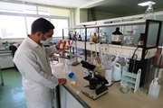 انجام بیش 390 هزار مورد آزمایش توسط آزمایشگاه های دولتی و خصوصی دامپزشکی استان اصفهان