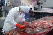حذف بیش از 90 تن گوشت قرمز غیر قابل مصرف در کشتارگاه دام شهرستان اصفهان