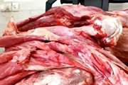 کشف و معدوم سازی لاشه یک راس گاو کشتار غیرمجاز در شهرستان گلپایگان