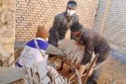 واکسیناسیون رایگان بیش از 120 هزار راس دام سبک علیه بیماری آبله گوسفندی در شهرستان نجف آباد