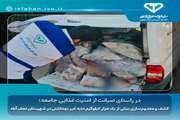 کشف و معدوم سازی بیش از یک هزار کیلوگرم دنبه غیر بهداشتی در شهرستان نجف آباد 