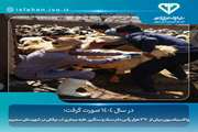 واکسیناسیون بیش از ۳۷۰ هزار رأس دام سبک و سنگین علیه بیماری تب برفکی در شهرستان سمیرم 
