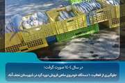 جلوگیری از فعالیت 10 دستگاه خودروی ماهی فروش دوره گرد در شهرستان نجف آباد