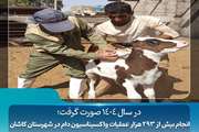 انجام بیش از ۲۹۳ هزار عملیات واکسیناسیون دام در شهرستان کاشان  