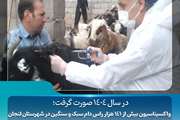 واکسیناسیون بیش از 141 هزار رأس دام سبک و سنگین در شهرستان لنجان
