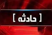آسیب‌دیدگی همکار اداره دامپزشکی شهرستان کاشان حین انجام عملیات واکسیناسیون دام