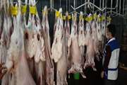 نظارت بر استحصال بیش از 2 هزار تن گوشت قرمز در شهرستان مبارکه 