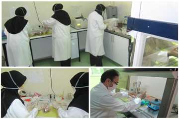 آنفلوانزای فوق حاد پرندگان استان اصفهان 