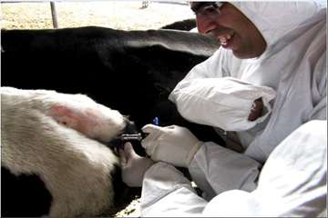 انجام تست سل به روش چین دمی -