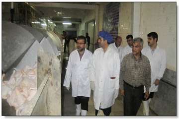  بازدید سرزده از کشتارگاه طیور و کارخانه پرشویی 