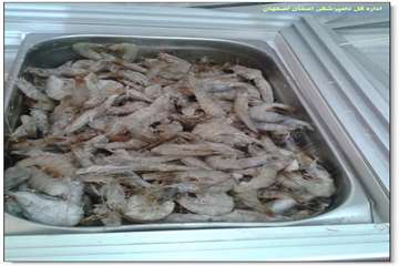  تخلفات بهداشتی در عرضه فرآورده های گوشتی 