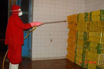 جلوه های تلاش در دامپزشکی