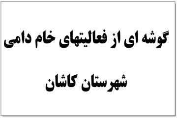  گوشه ای از فعالیتهای خام دامی شهرستان کاشان  