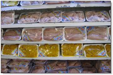 طرح تشدید نظارت های بهداشتی در شهرستان کاشان 