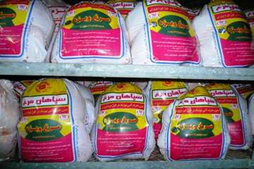 توليد مرغ بدون آنتي بيوتيك(مرغ ويژه)-اصفهان