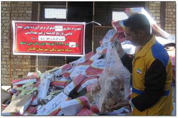  گوشه ای از فعالیتهای خام دامی شهرستان کاشان  