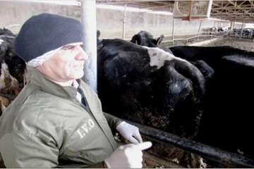 انجام تست سل به روش چین دمی -