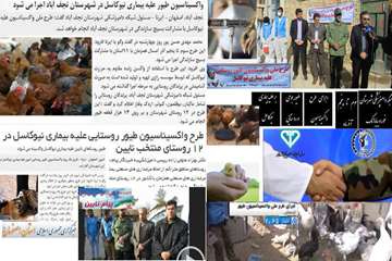 طرح ملی واکسیناسیون طیور روستائی علیه نیوکاسل