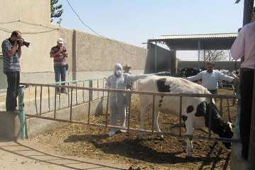 تور عكاسي يكروزه