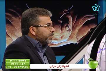 آنفلوانزای فوق حاد پرندگان استان اصفهان 