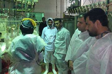 مرغ (سایز، قطعه بندی، هورمون و ...)