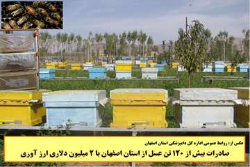 صادرات بيش از 120 تن عسل  از اصفهان با 2 ميليون دلار ارز آوري