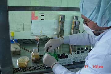 جلوه های تلاش در دامپزشکی