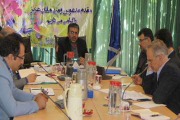 مرغ (سایز، قطعه بندی، هورمون و ...)