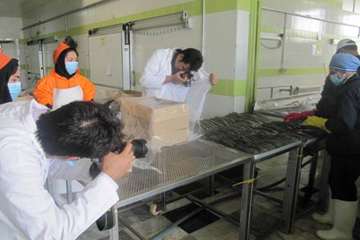 تور عكاسي يكروزه