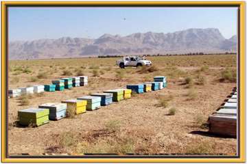 عکس های منتخب اداره کل دامپزشکی اصفهان - 