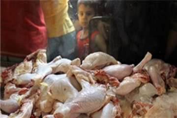 مرغ (سایز، قطعه بندی، هورمون و ...)