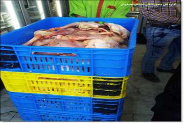  تخلفات بهداشتی در عرضه فرآورده های گوشتی 