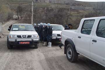 جلوه های تلاش در دامپزشکی