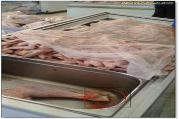  تخلفات بهداشتی در عرضه فرآورده های گوشتی 