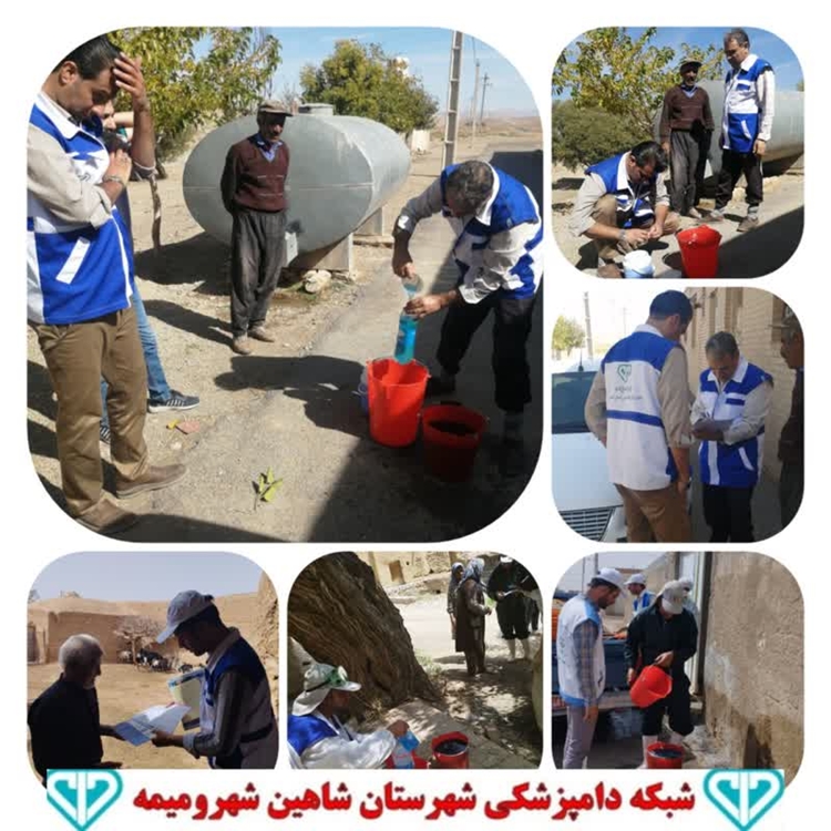 ایمن سازی افزون بر 81 هزار قطعه طیور بومی و روستائی علیه بیماری نیوکاسل در شهرستان شاهین شهر و میمه