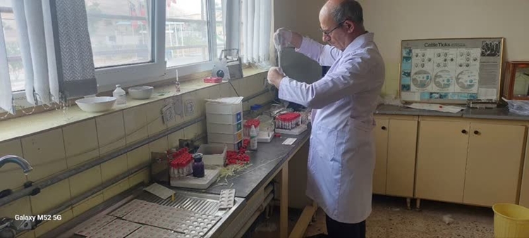 تست تشخیص بروسلوز در ۳۲۵ راس دام سبک در شهرستان فریدونشهر