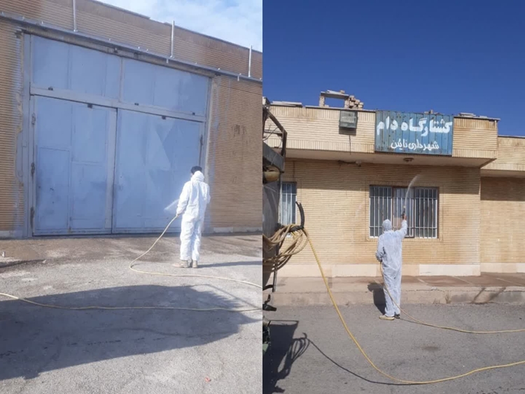 واکسیناسیون بیش از 12 هزار راس دام سبک و سنگین علیه تب برفکی در شهرستان نایین