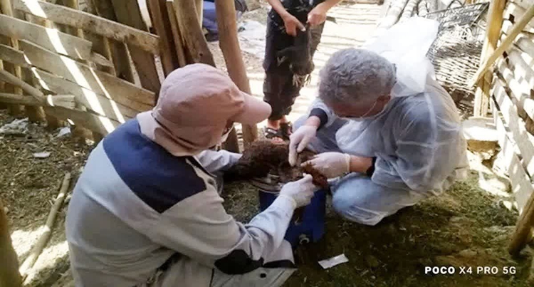 اجرای طرح پایش بیماری آنفلوانزای فوق حاد پرندگان در شهرستان خمینی شهر