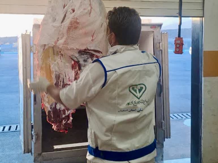 واردات بیش از 162 هزار کیلوگرم لاشه شتر به شهرستان نجف آباد  