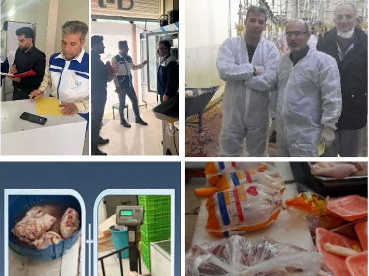 خروج بیش از ۳ هزار کیلو گرم گوشت سفید و قرمز غیر بهداشتی از چرخه مصرف انسانی در شهرستان برخوار 