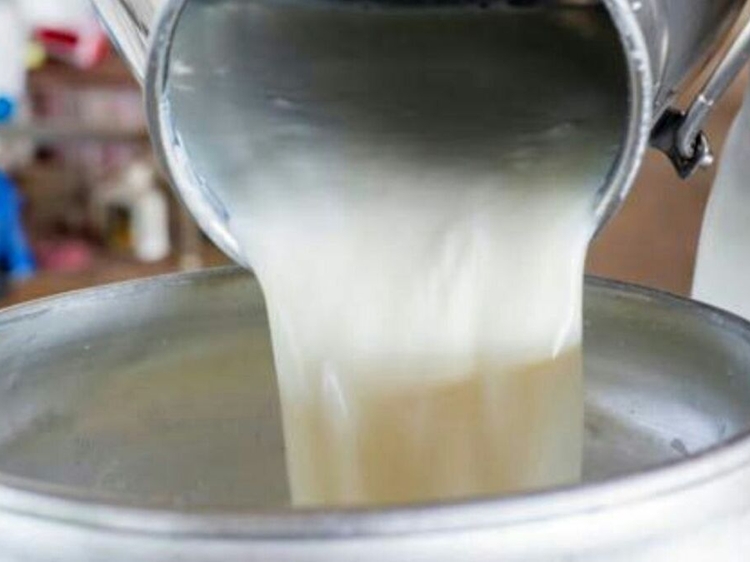 خروج ۴ تن شیر غیربهداشتی از چرخه مصرف انسانی در شهرستان خمینی شهر 