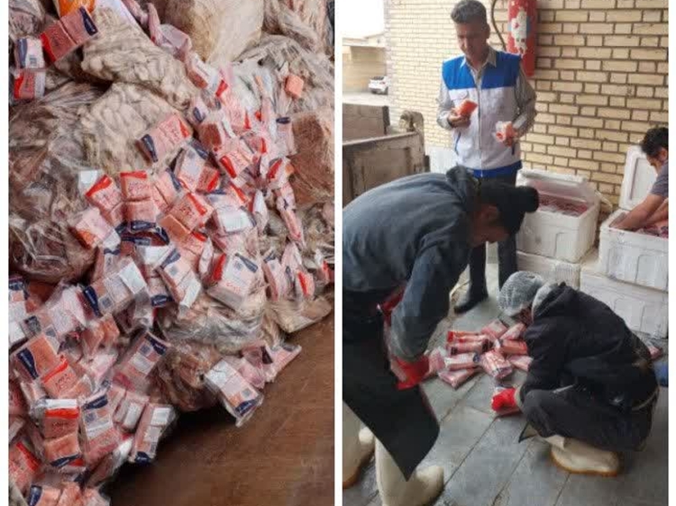 توقیف و معدوم سازی 135 کیلوگرم سوشی ژاپنی قاچاق و 24 کیلوگرم میگوی منجمد در شهرستان برخوار