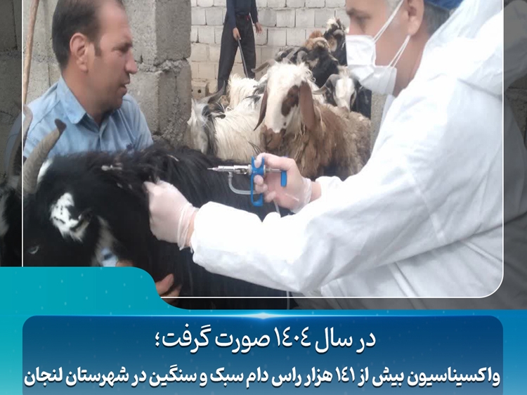 واکسیناسیون بیش از 141 هزار رأس دام سبک و سنگین در شهرستان لنجان