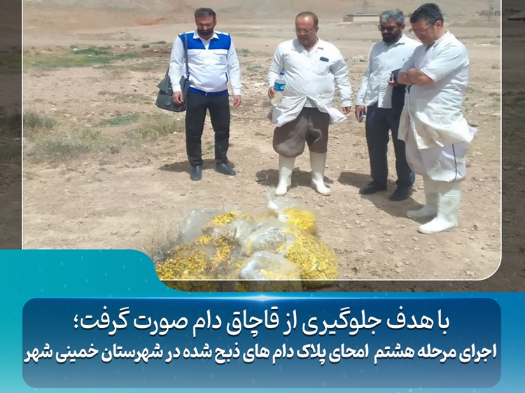 اجرای مرحله هشتم امحای پلاک دام های ذبح شده در شهرستان خمینی شهر